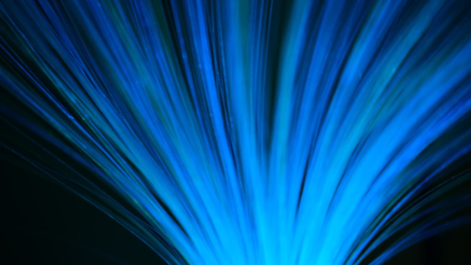 Strands of optical fibre lit in blue against a dark background